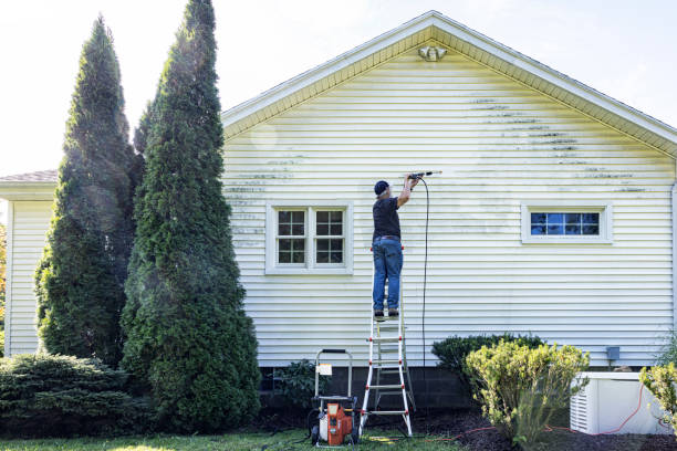 Best Eco-Friendly Pressure Washing in West Miami, FL